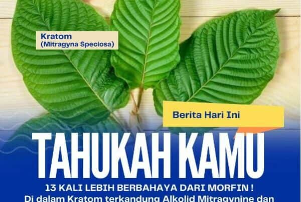 Kratom (Mitragyna Speciosa) Konsep Otomatis